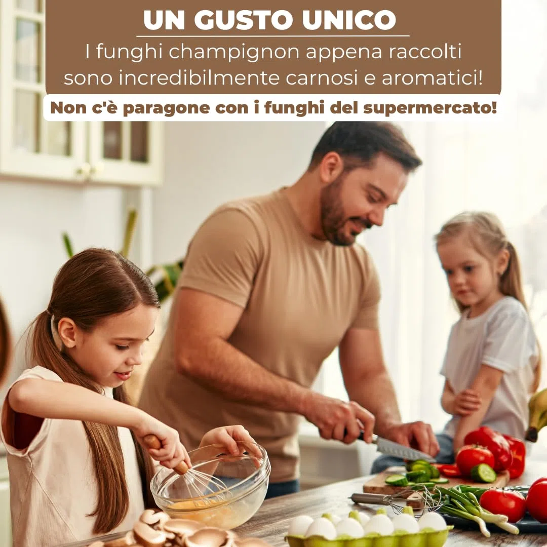 Hawlik Pilzbrut - Set di 2 colture fungine da champignon XXL – grande set da degustazione – facile da coltivare da funghi, senza conoscenze preliminari – set da allevare funghi - funghi coltivazione