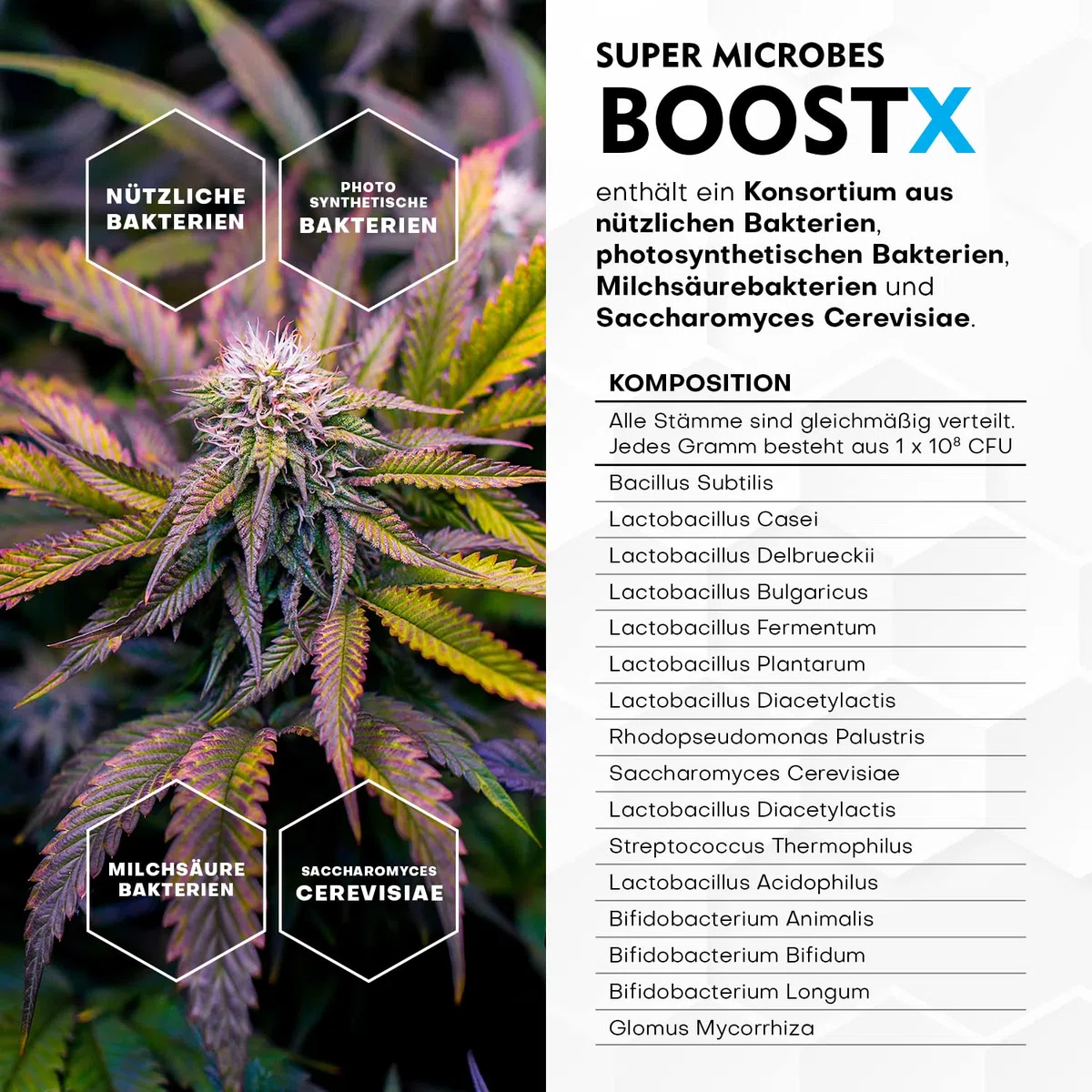BoostX - Fertilizzante per piante verdi premium | Appositamente formulato per piante da fiore e in erba | Contiene 16 microbi benefici inclusi i batteri che fissano l'azoto 400g