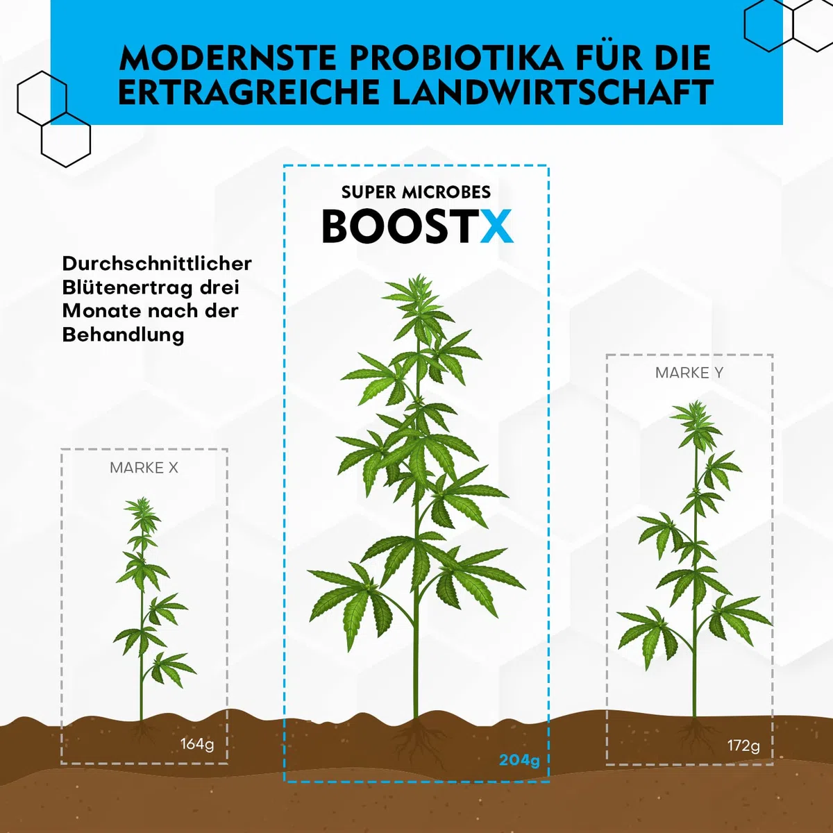 BoostX - Fertilizzante per piante verdi premium | Appositamente formulato per piante da fiore e in erba | Contiene 16 microbi benefici inclusi i batteri che fissano l'azoto 400g