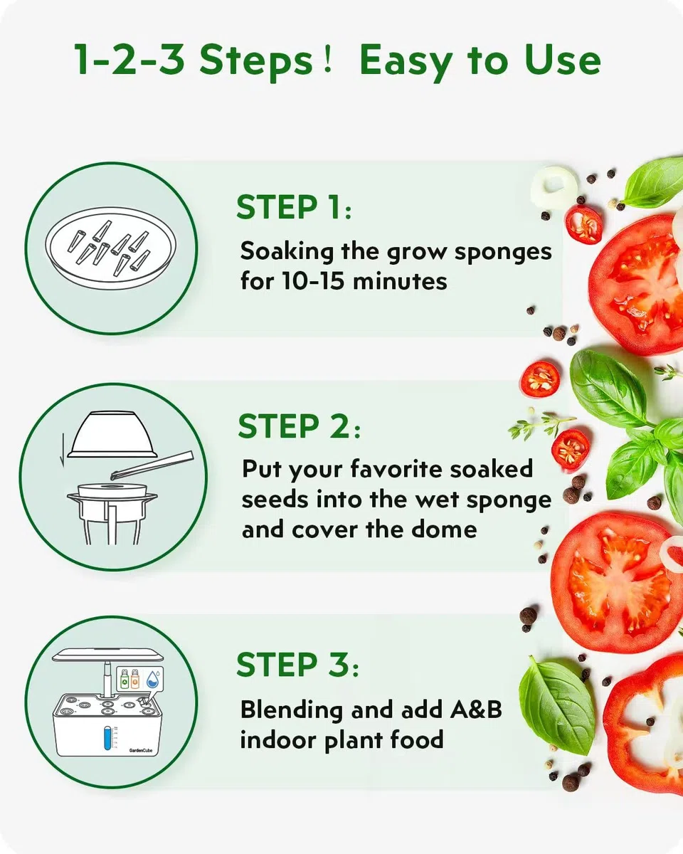 GARDENCUBE Kit di 166 cialde idroponiche: compatibile con Aerogarden Grow Anything Herb Kits – Include spugne da coltivazione, cestini da coltivazione, etichette per cupole, alimenti per piante A&B