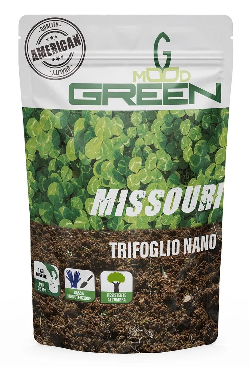 GREENMOOD MISSURI Trifoglio Nano American Quality Bassa Manutenzione pochi tagli mensili (Fino a 200 m2 x 2 Kg)