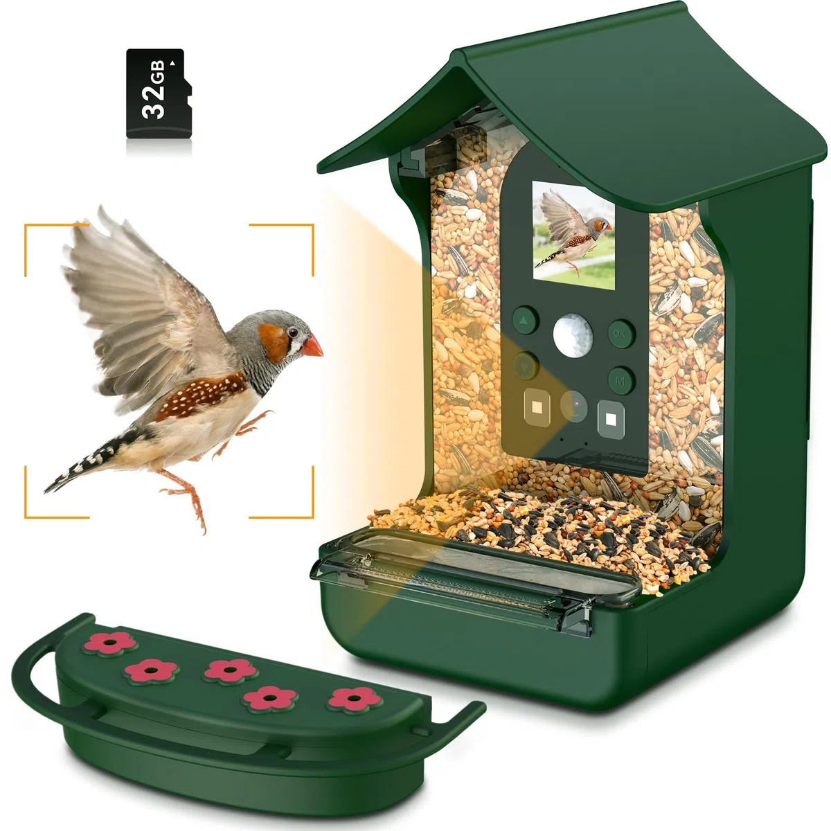 Mangiatoia per Uccelli con Telecamera, 1080P HD Mangiatoia per Uccellini da Esterno con Telecamera Notte e Giorno Automatico Foto e Video Giardino Mangiatoia Per Uccelli All'aperto - Verde