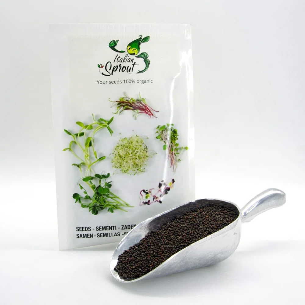 Semi per germogli - Cavolo rosso Marte - 200 gr.