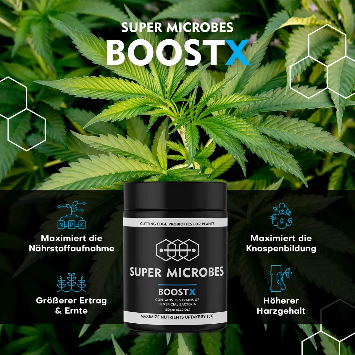 BoostX - Fertilizzante per piante verdi premium | Appositamente formulato per piante da fiore e in erba | Contiene 16 microbi benefici inclusi i batteri che fissano l'azoto 400g