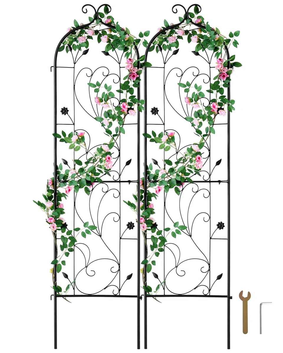 VEVOR Traliccio da Giardino Rampicanti per Piante Fiori in Metallo Antiruggine, Supporto per Traliccio per Rose Rampicanti Esterno, Traliccio Decorativo per Clematide Alta Cortili 38 x 152 cm 2 Pezzi