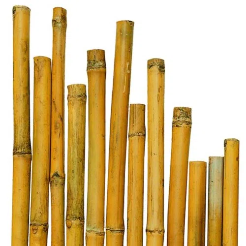 CANNA CANNETO PER PIANTE IN BAMBU Ø 28-30 MM H 240 CM 25 PZ PER AGRICOLTURA
