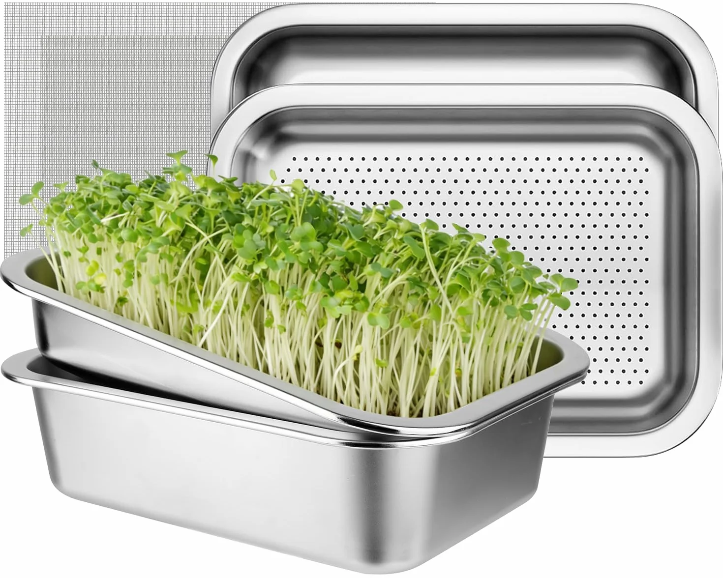 Set di 2 ciotole per germogli in acciaio inox per germogli, 26 x 19 cm, seed sprouter vassoio, set per la coltivazione di serre, ciotole per crescione, ciotole per germogli, microgreens