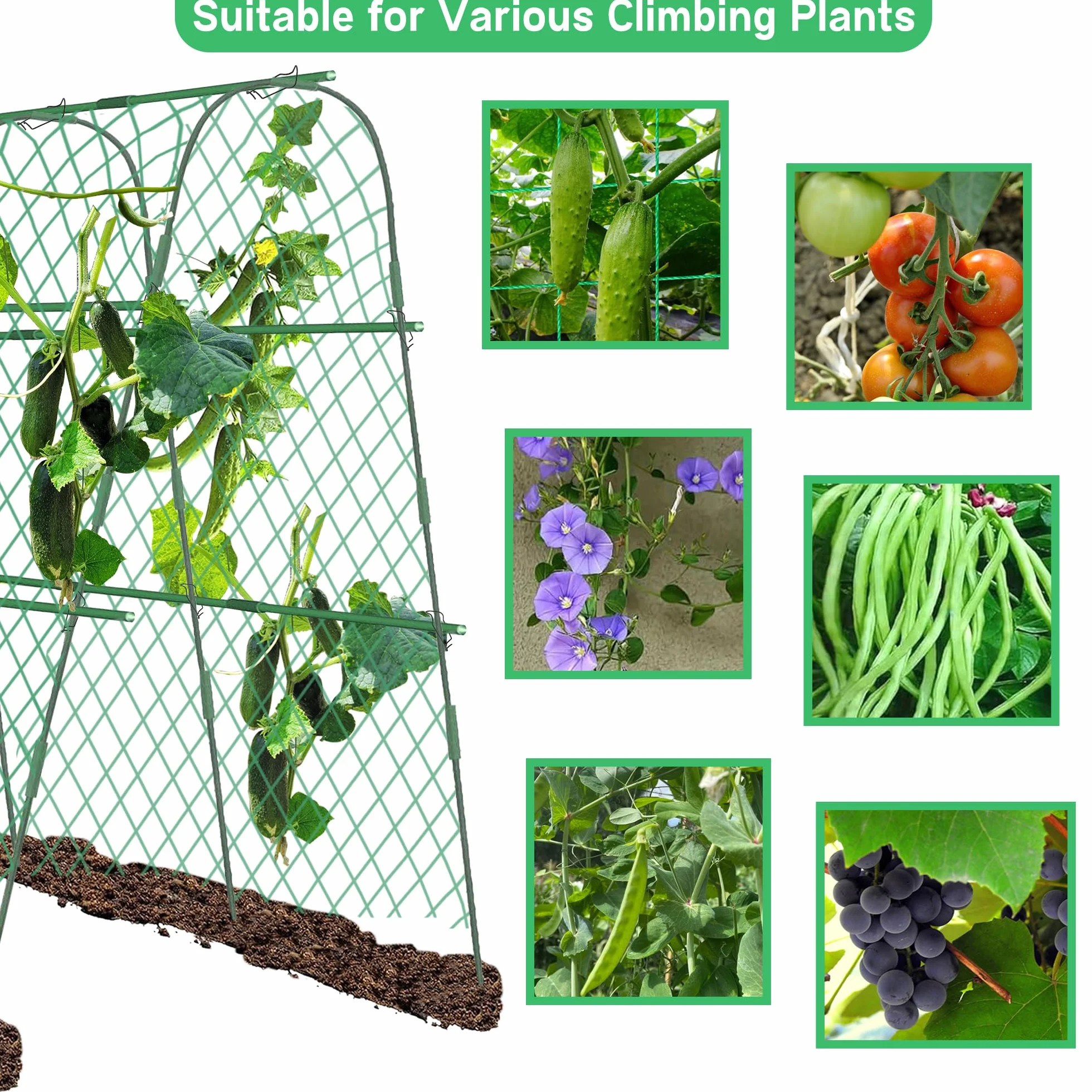 Griglia per pomodori, cetrioli, 160 x 140 x 120 cm, per piante rampicanti, traliccio in metallo per pomodori, verdure e piante rampicanti, fiori e piante da frutto
